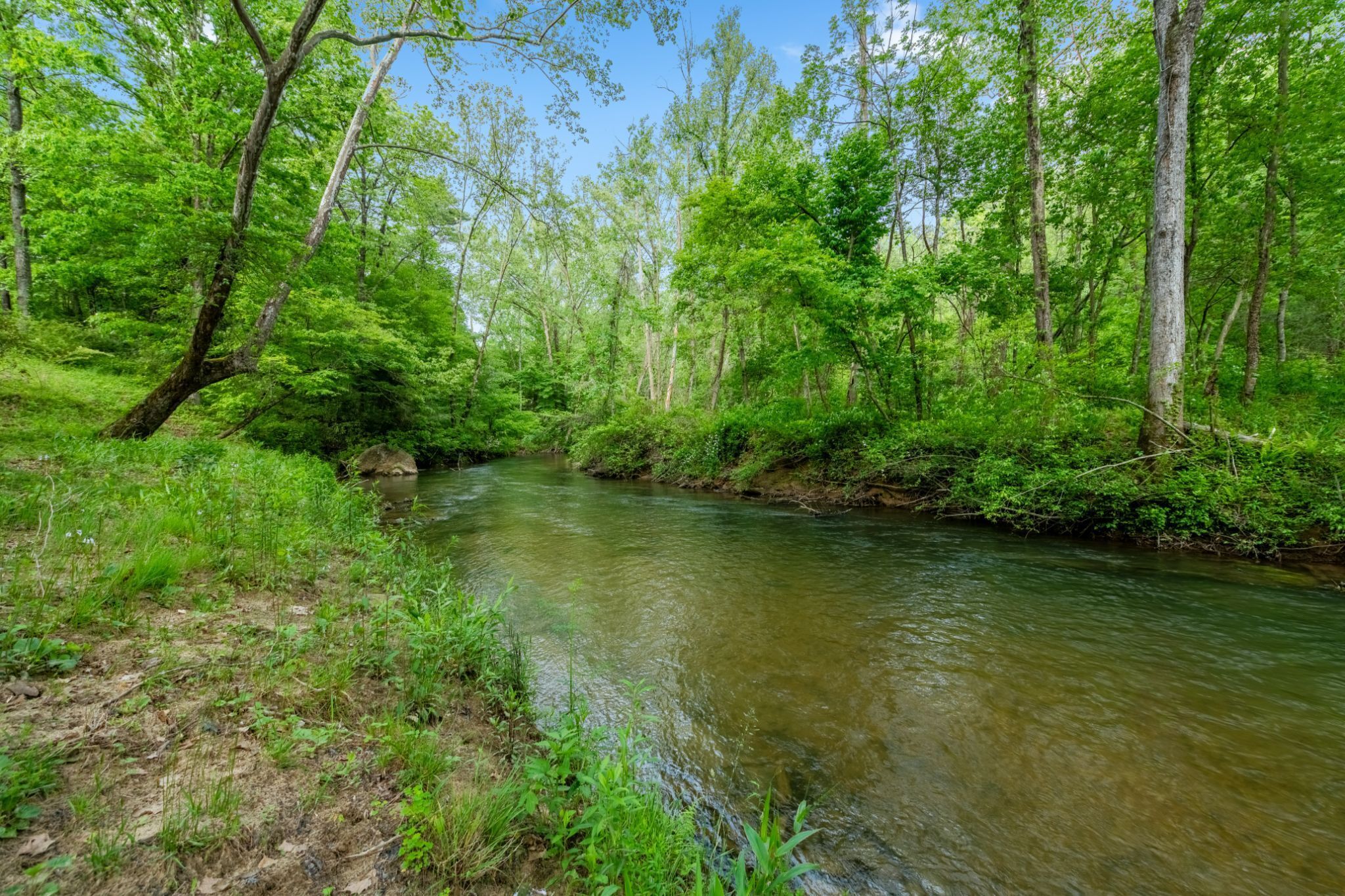 Ein Fluss fließt durch ein bewaldetes Gebiet mit dichtem Grün und Bäumen.