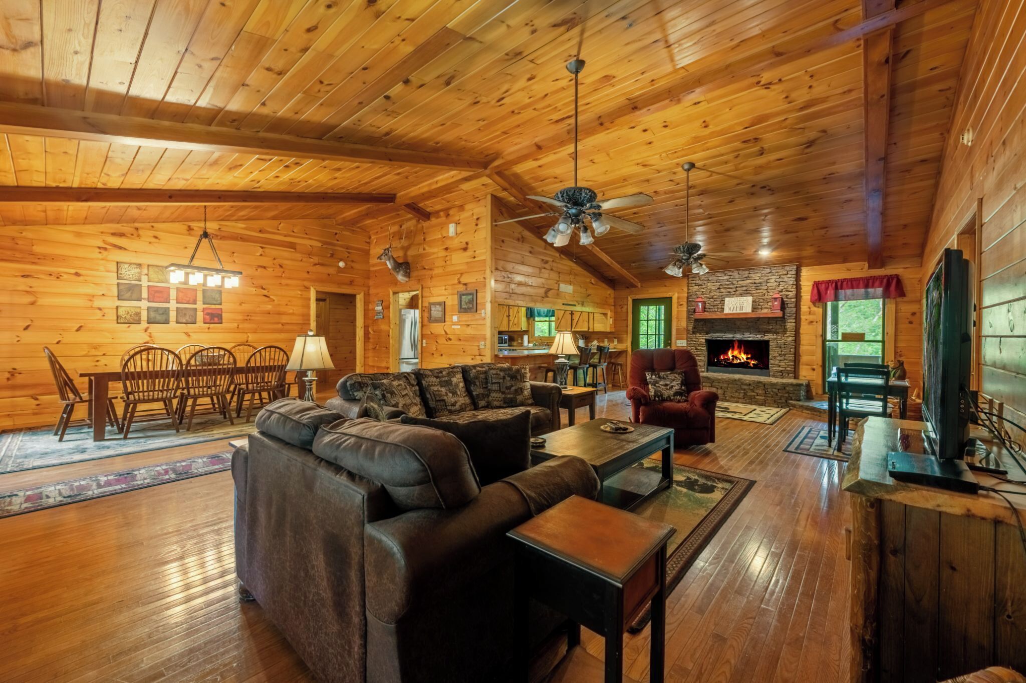 TV, caminetto, videogiochi