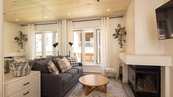 TV, fireplace, books