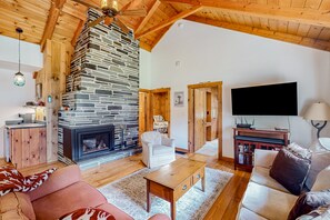 TV, fireplace, books