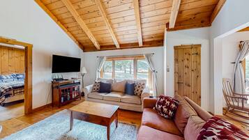 TV, fireplace, books