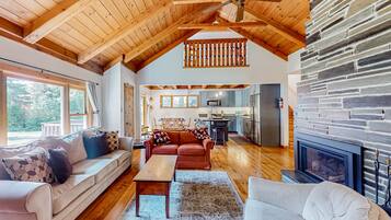 TV, fireplace, books