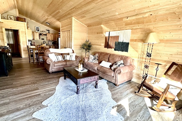 Living Room with sofa bed