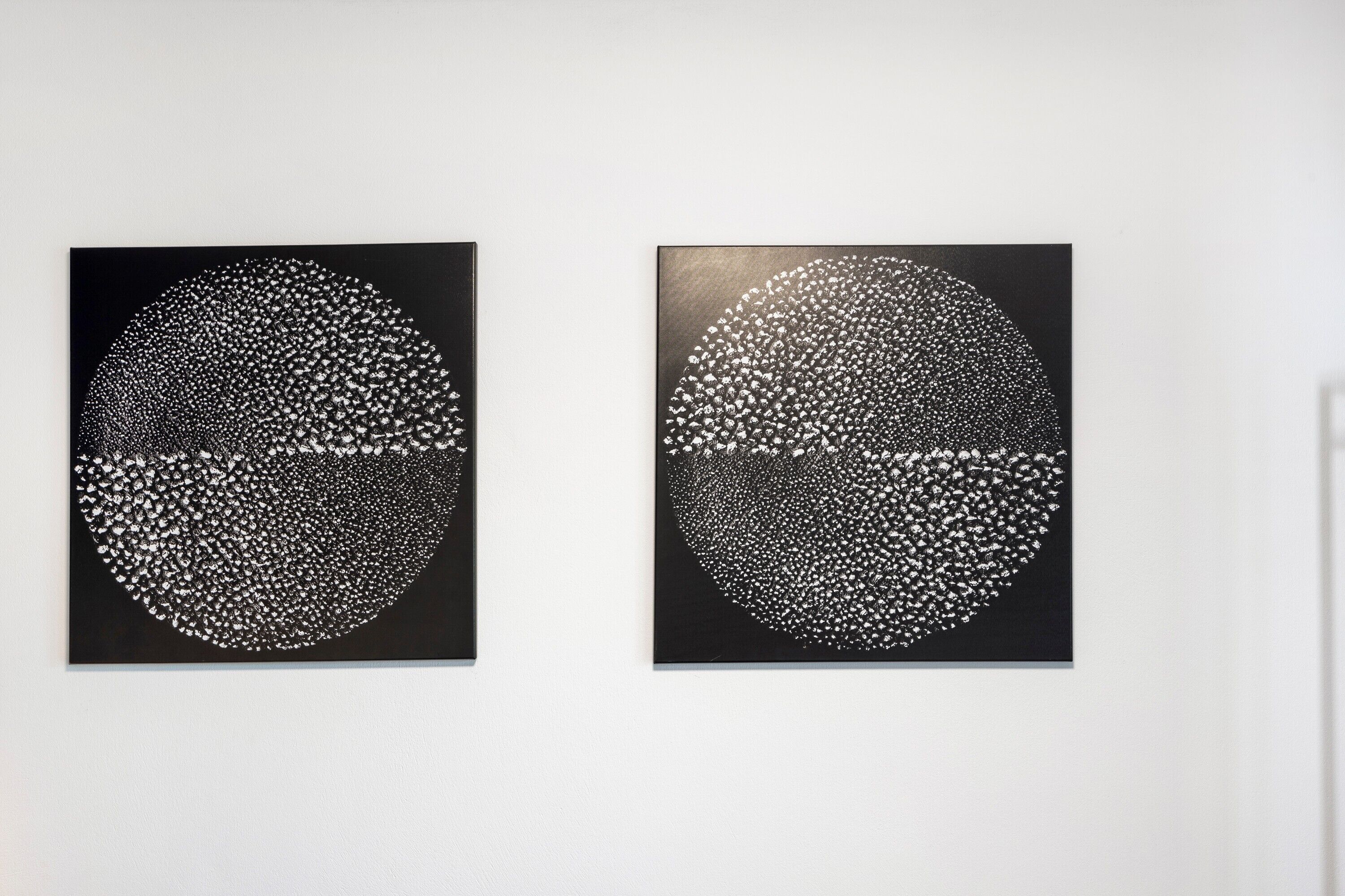 Twee identieke zwart-wit abstracte schilderijen aan een witte muur.