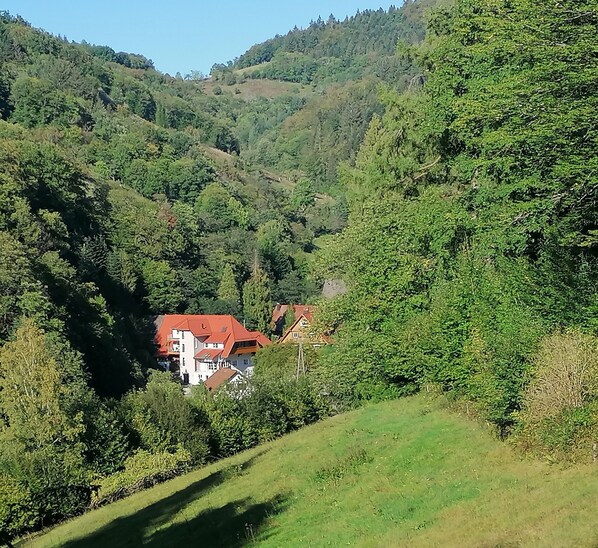 A valley with a house surrounded by dense greenery and hills.