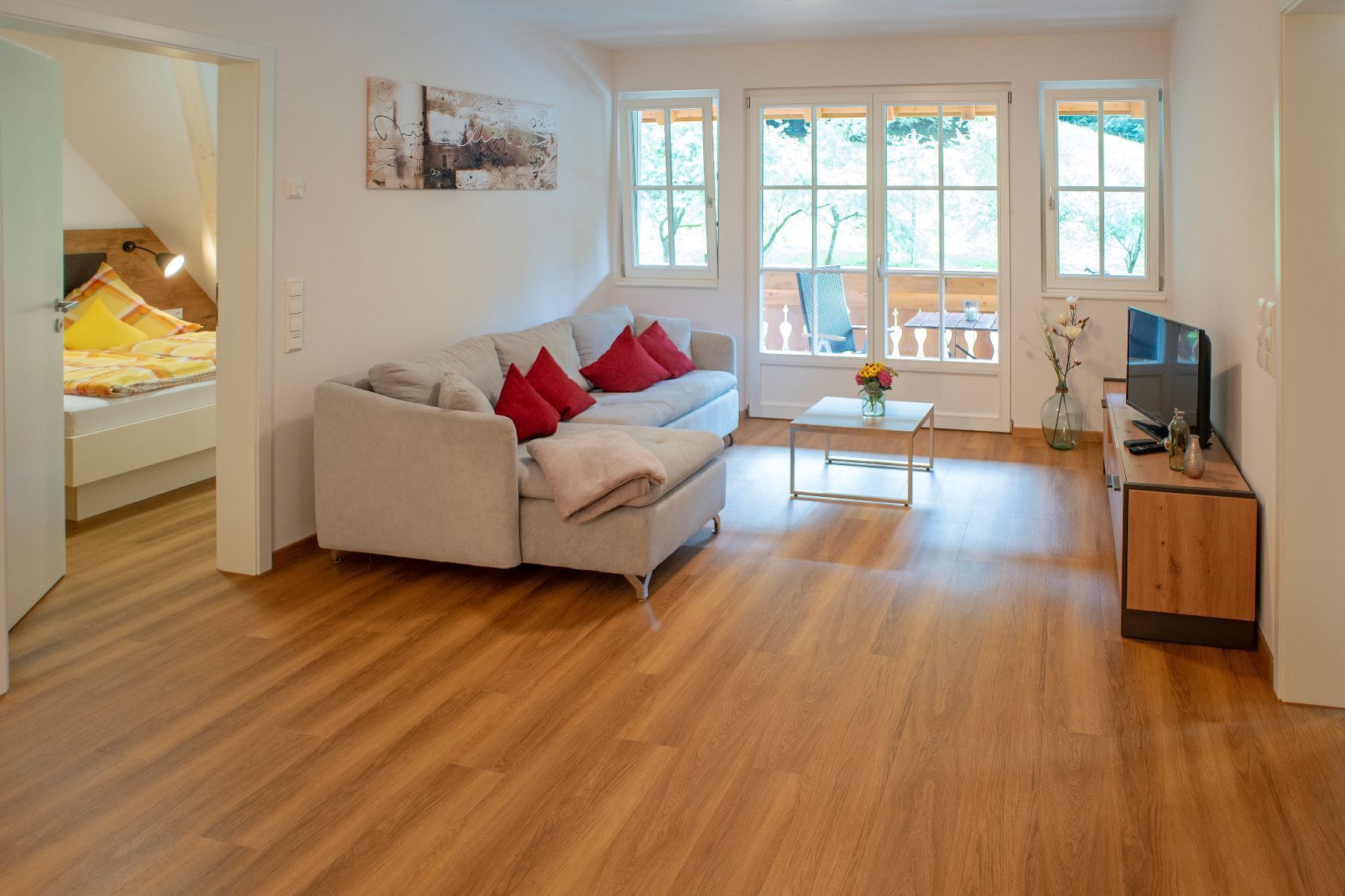 Fernseher, Stereoanlage