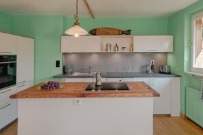 Fridge, oven, stovetop, dishwasher