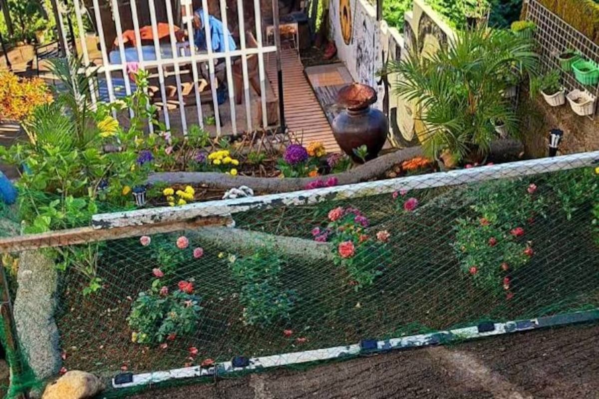 Ein Garten mit verschiedenen Pflanzen und Blumen, einem Metallzaun und einer hölzernen Bank.