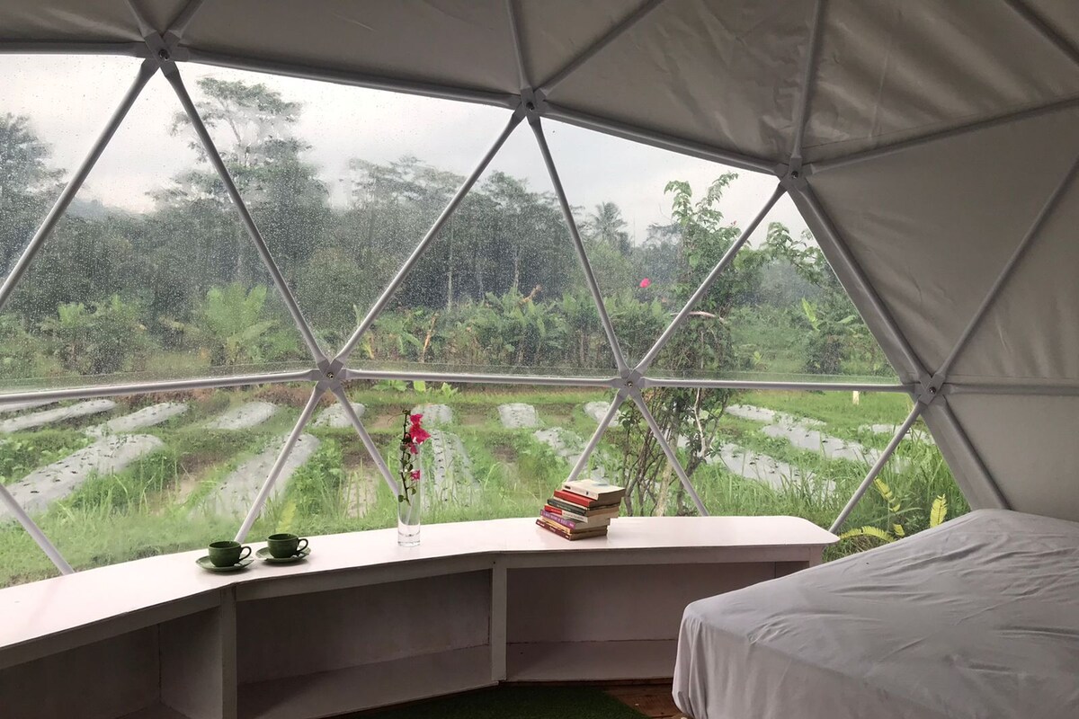 Een tent met een bed en een tafel met boeken en een kop.