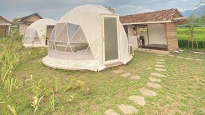 Une série de tentes blanches dotées d’un toit transparent, installées sur une pelouse, avec un chemin de pierre menant à un bâtiment dont le toit est recouvert de tuiles.