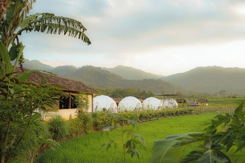 Borobudur Luxury Glamping