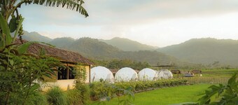 Borobudur Luxury Glamping