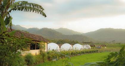 Borobudur Luxury Glamping