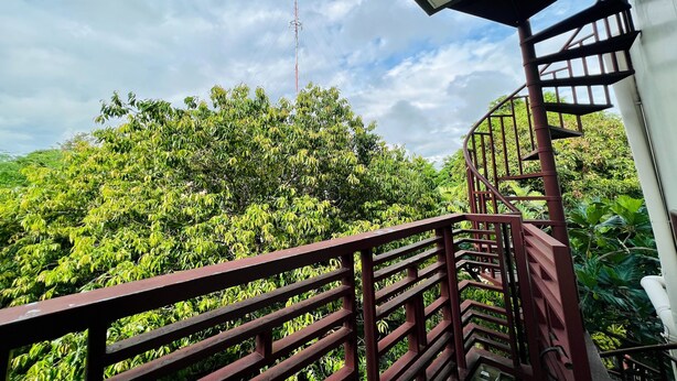 Un balcón con vista a vegetación exuberante y una torre de comunicaciones a lo lejos.