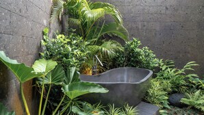 A modern indoor garden with a variety of tropical plants and a large, dark-colored planter. - Villa Nusantara 5 by Alfred in Bali (Canggu)