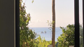 A view through a window with a tropical garden, a clear sky, and a distant view of the sea with rocks. - Hear the waves from either pools or patios, or walk to the beach, ocean views (Manuel Antonio)