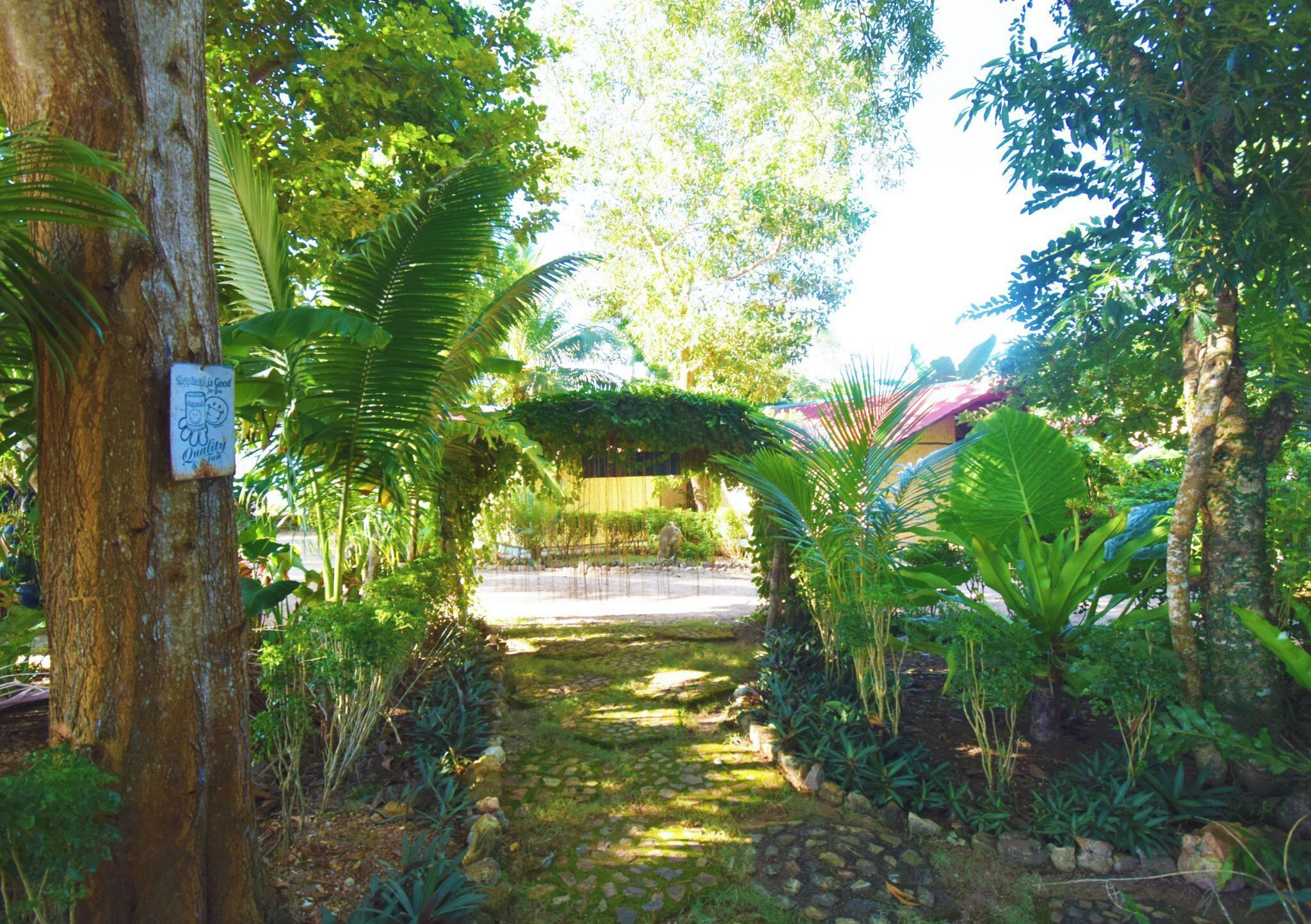 A garden pathway surrounded by lush greenery and trees.