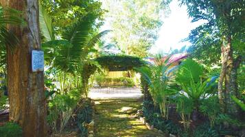 A garden pathway surrounded by lush greenery and trees.