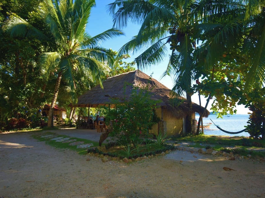 A thatched-roof hut with a view of the sea, surrounded by palm trees and a sandy path.