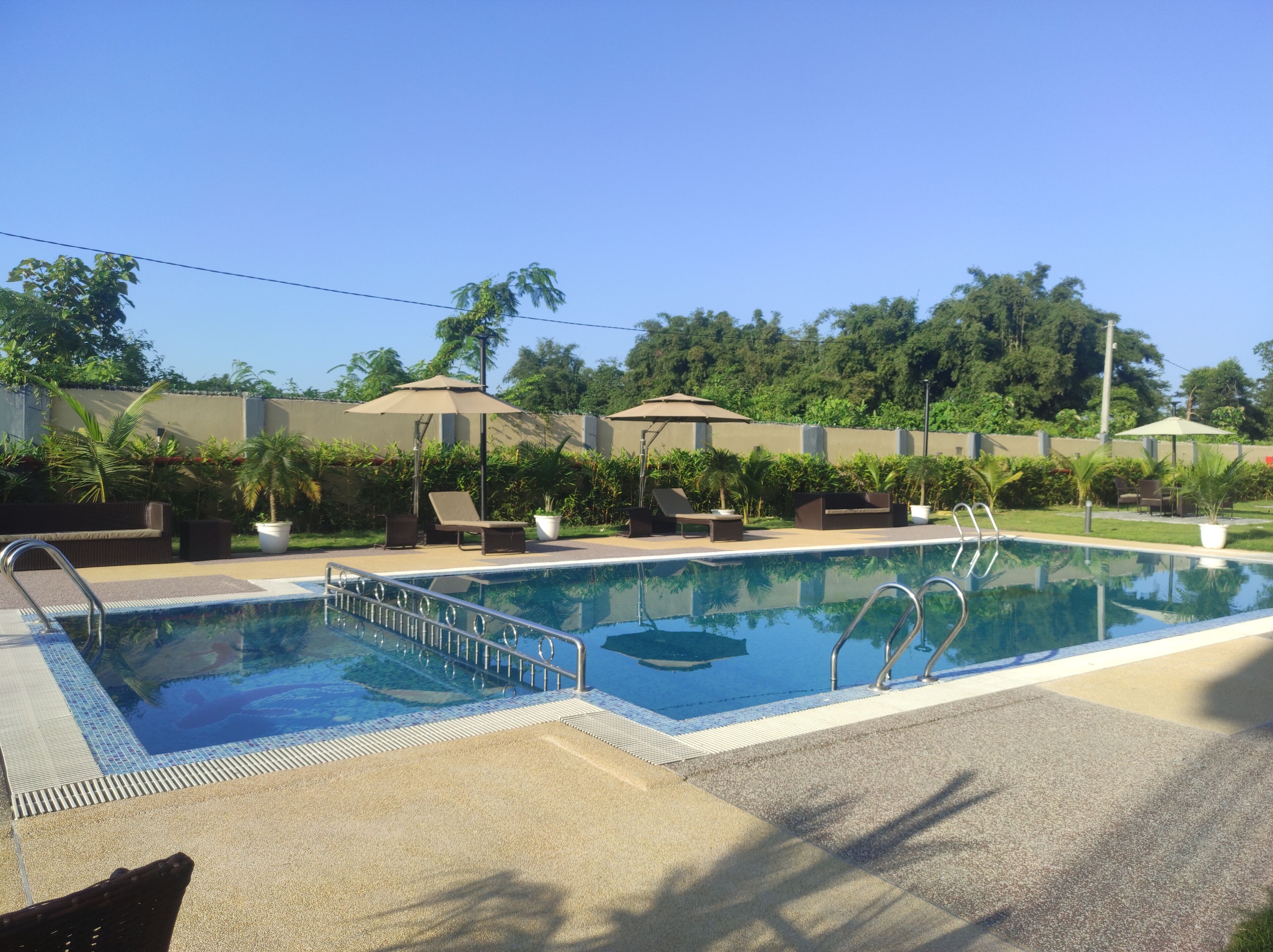 A swimming pool with lounge chairs and umbrellas, surrounded by greenery and a clear sky.