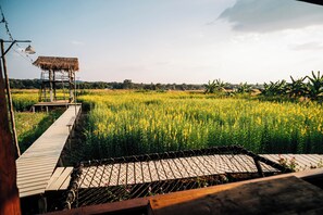 Exterior - NamongHomestay (Phu Phiang)