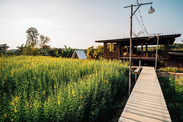 Front of property - NamongHomestay (Phu Phiang)