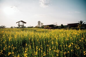 Exterior - NamongHomestay (Phu Phiang)