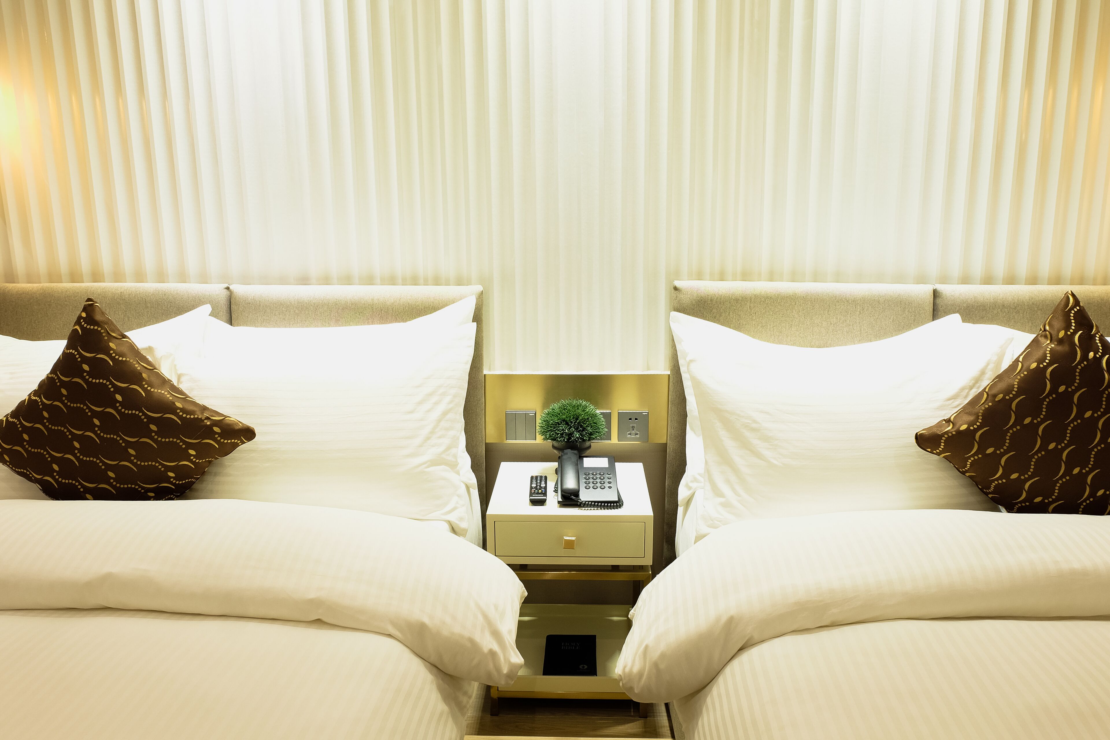 A hotel room with two beds, a nightstand with a phone, a small plant, and a remote control.