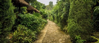 Jim Corbett National Park