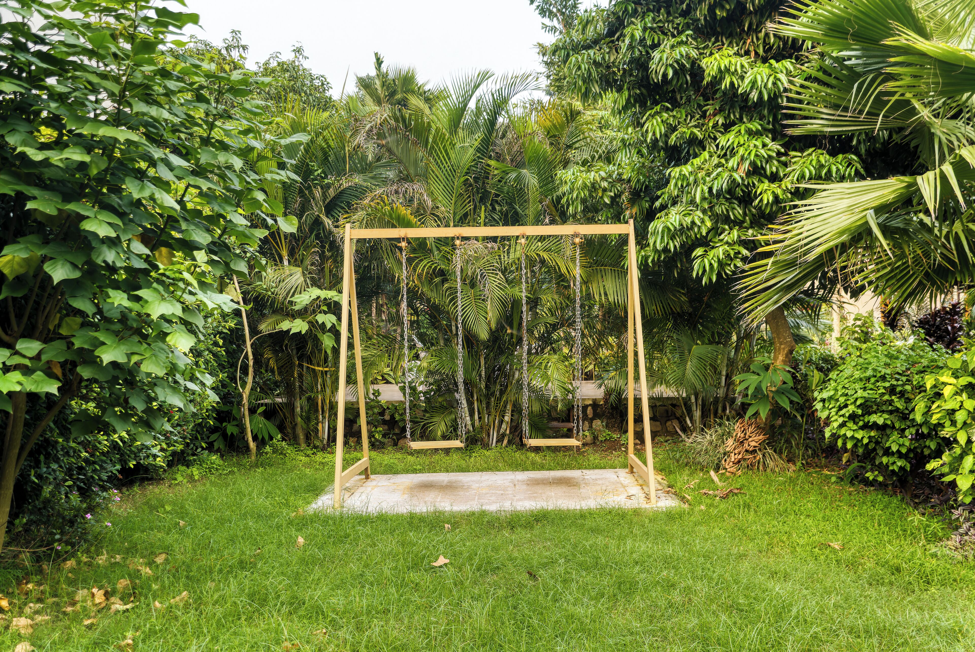 A swing set in a lush garden with dense foliage and a clear sky.