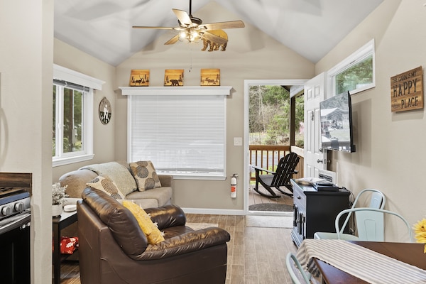 Smart TV, fireplace, DVD player, books