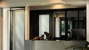 A modern interior with a glass partition, a dog and a cat on a ledge, and a computer monitor. - POR Arak (Chiang Mai)
