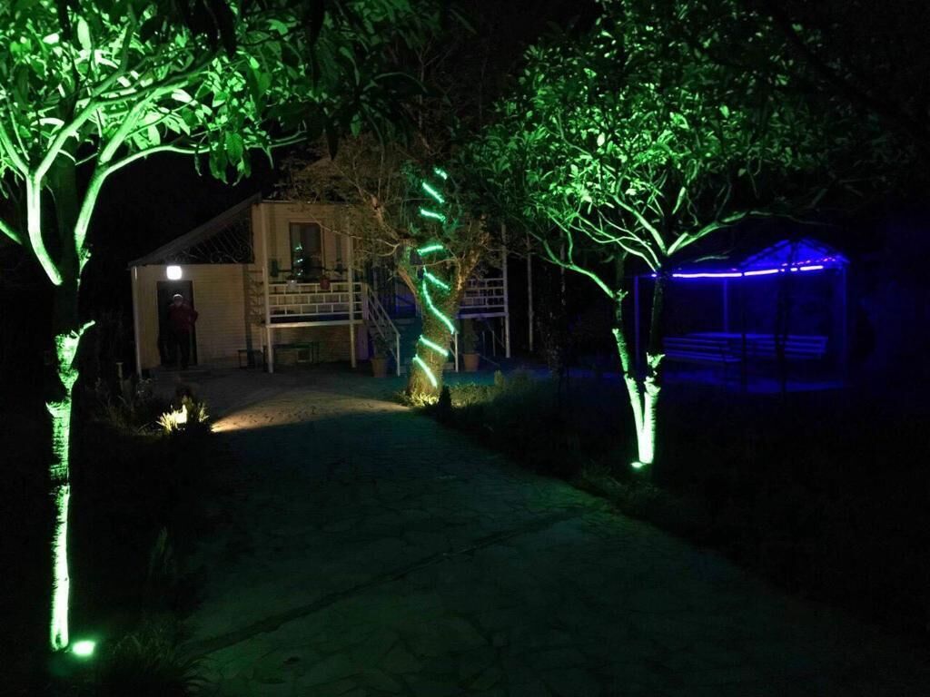 Photo - Sweet Memories