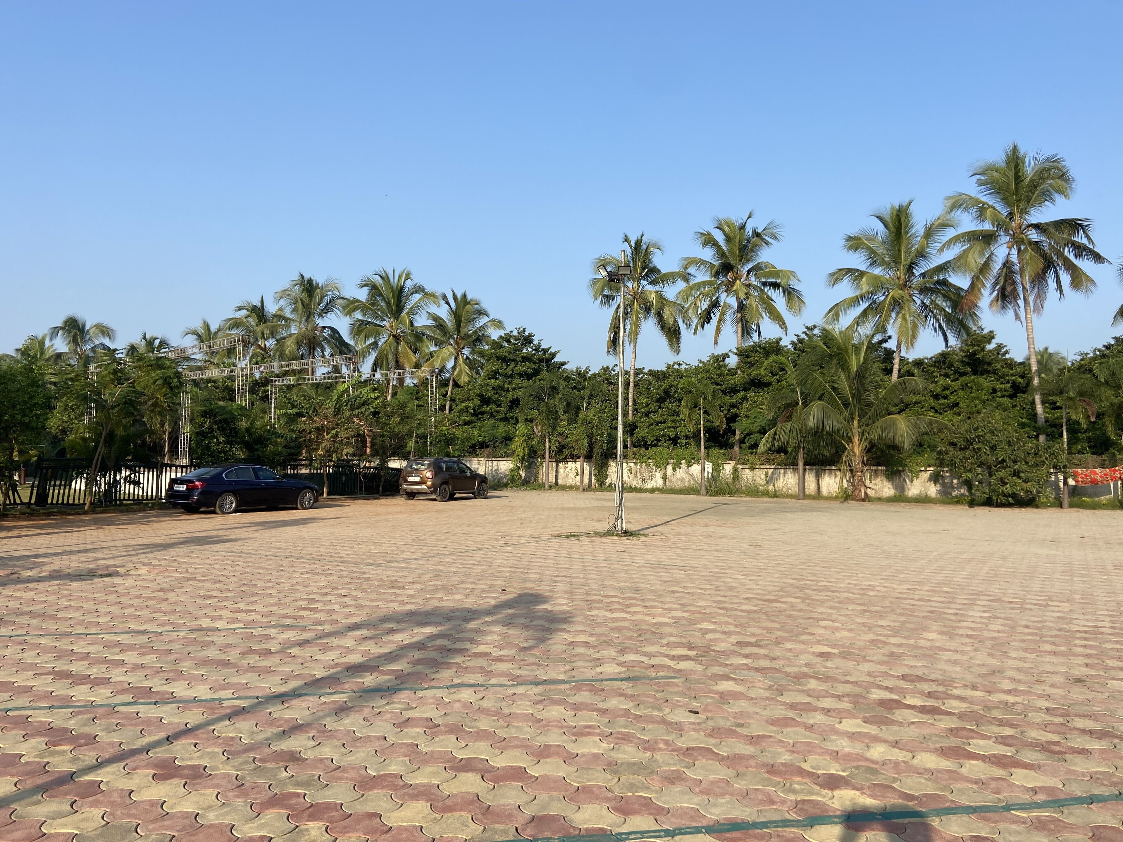 A paved outdoor area with palm trees and a car parked nearby.
