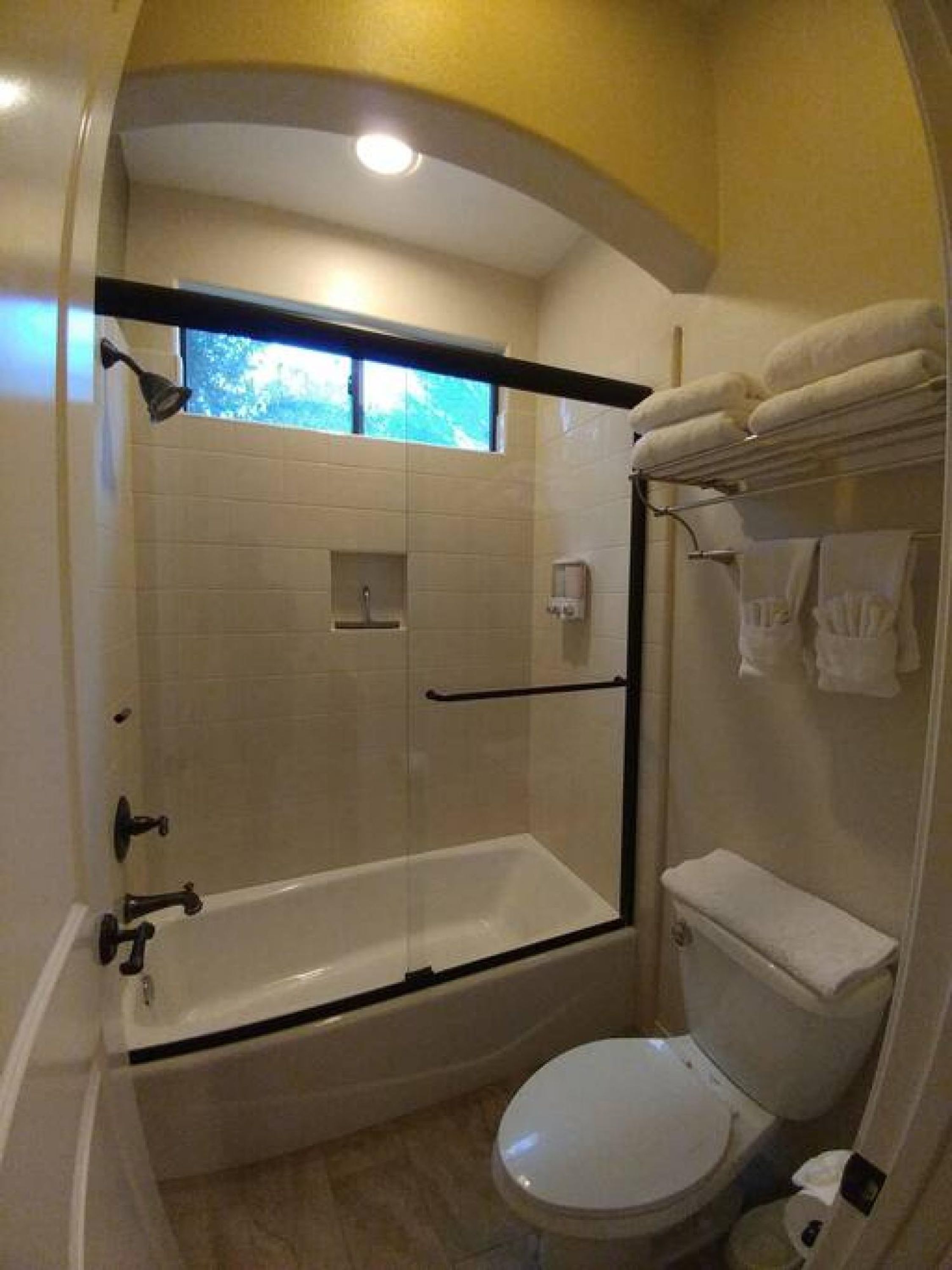 A bathroom with a glass-enclosed shower, a toilet, and a towel rack.