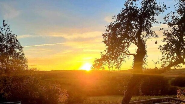 Un bain à remous avec vue sur le coucher de soleil et les arbres.