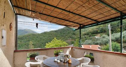 Apartment "Câ de Bacî" with Private Terrace