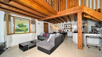 Een televisie, een open haard, videogames en een dvd-speler