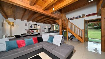 TV, fireplace, video games, DVD player