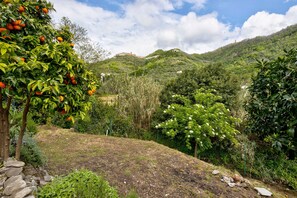 Property grounds - Holiday Home 'Villino Marco' with Private Terrace, Wi-Fi and Air Conditioning (Luni)