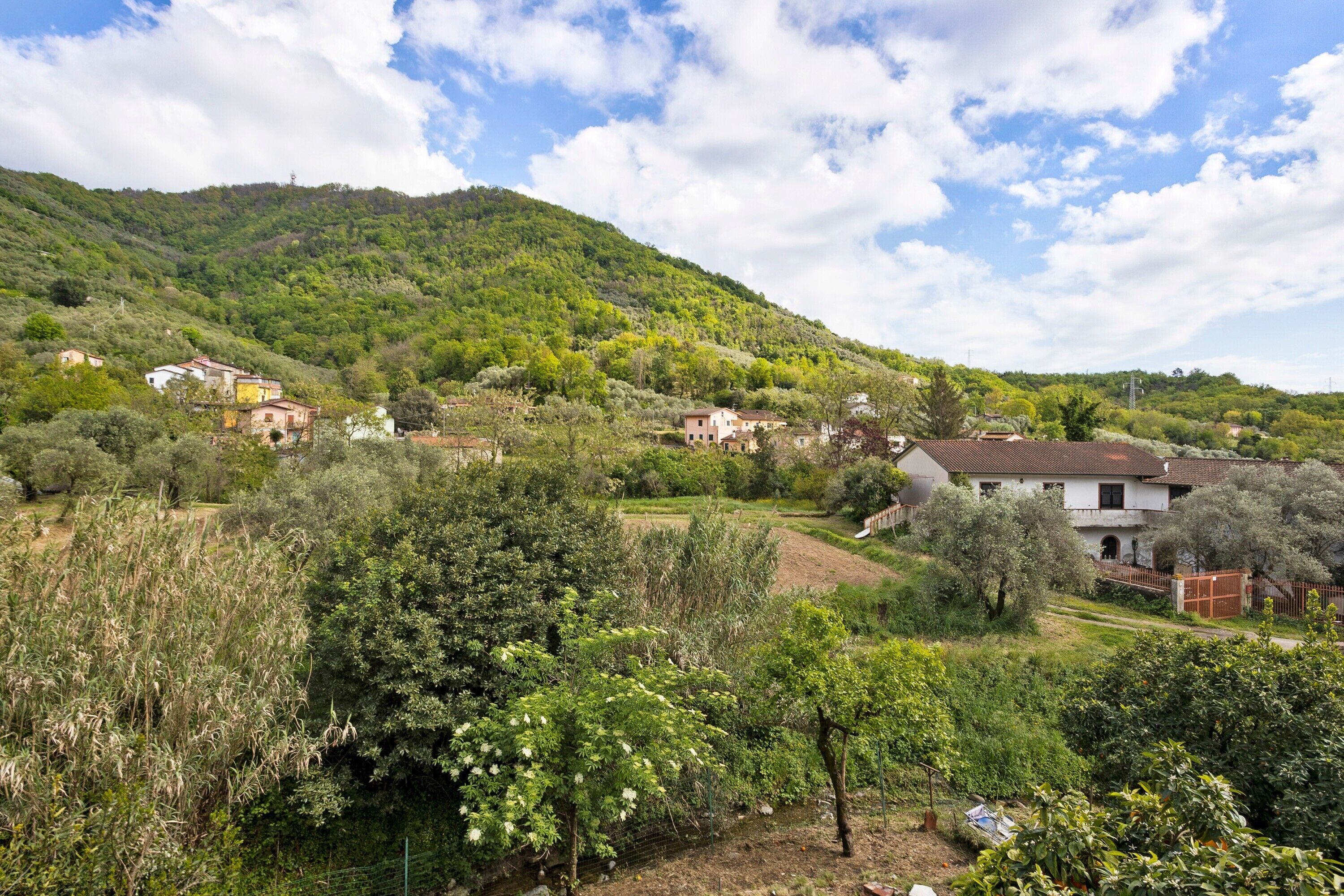Paisagem rural com casas, árvores e uma colina.