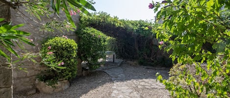 Terrain de l’hébergement