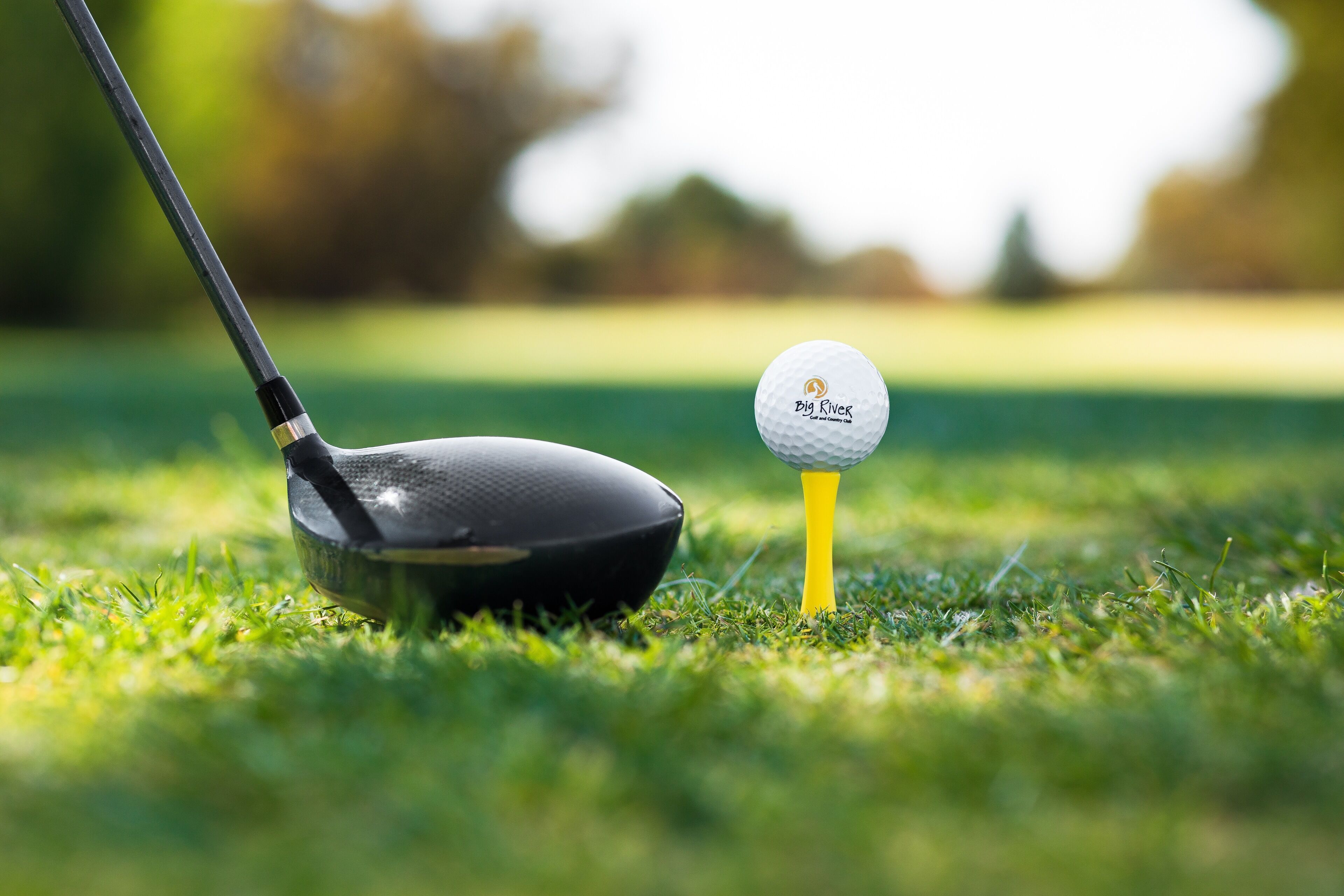 A golf club and ball on a grassy field.