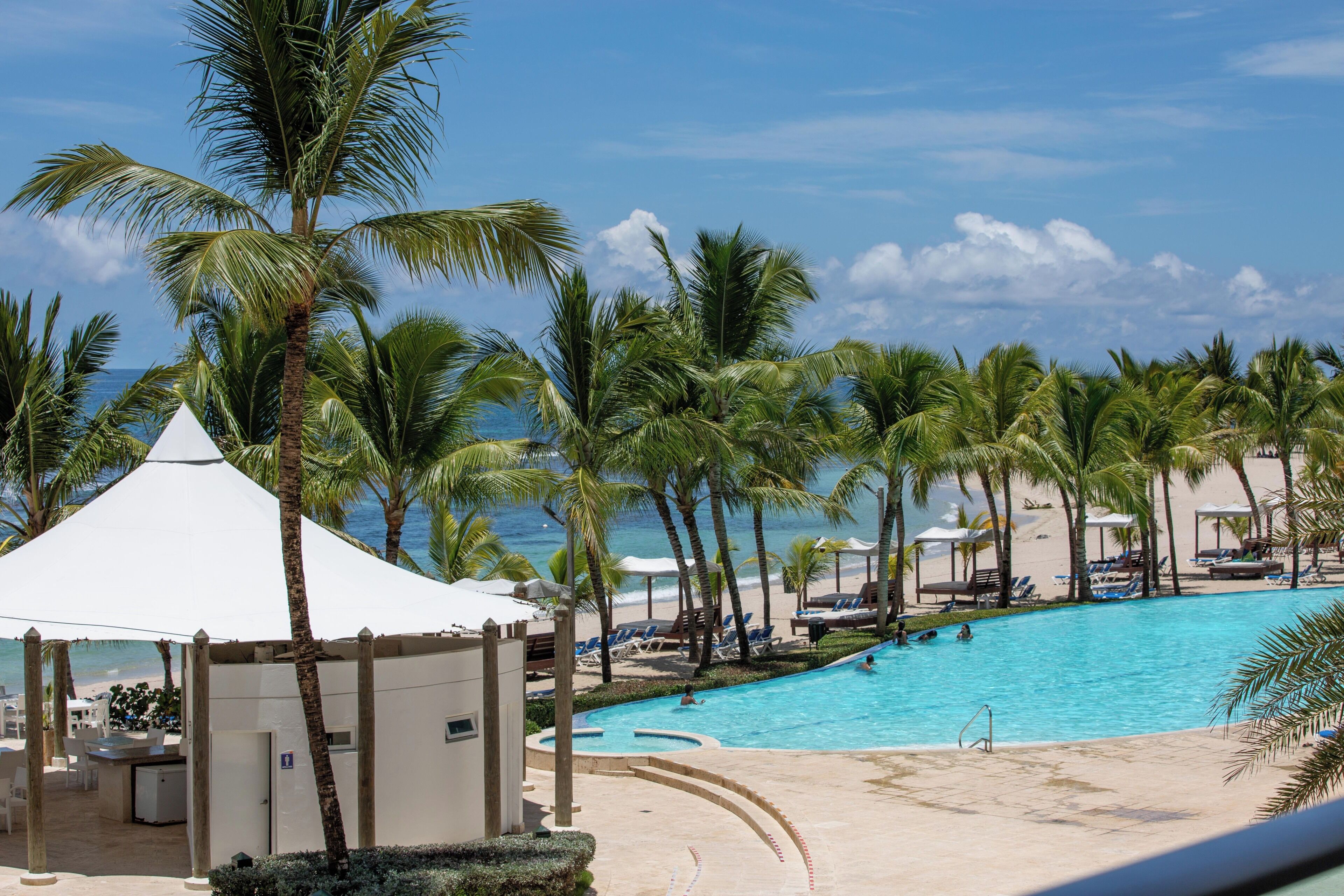 A pool area with palm trees, lounge chairs, and a beach view.