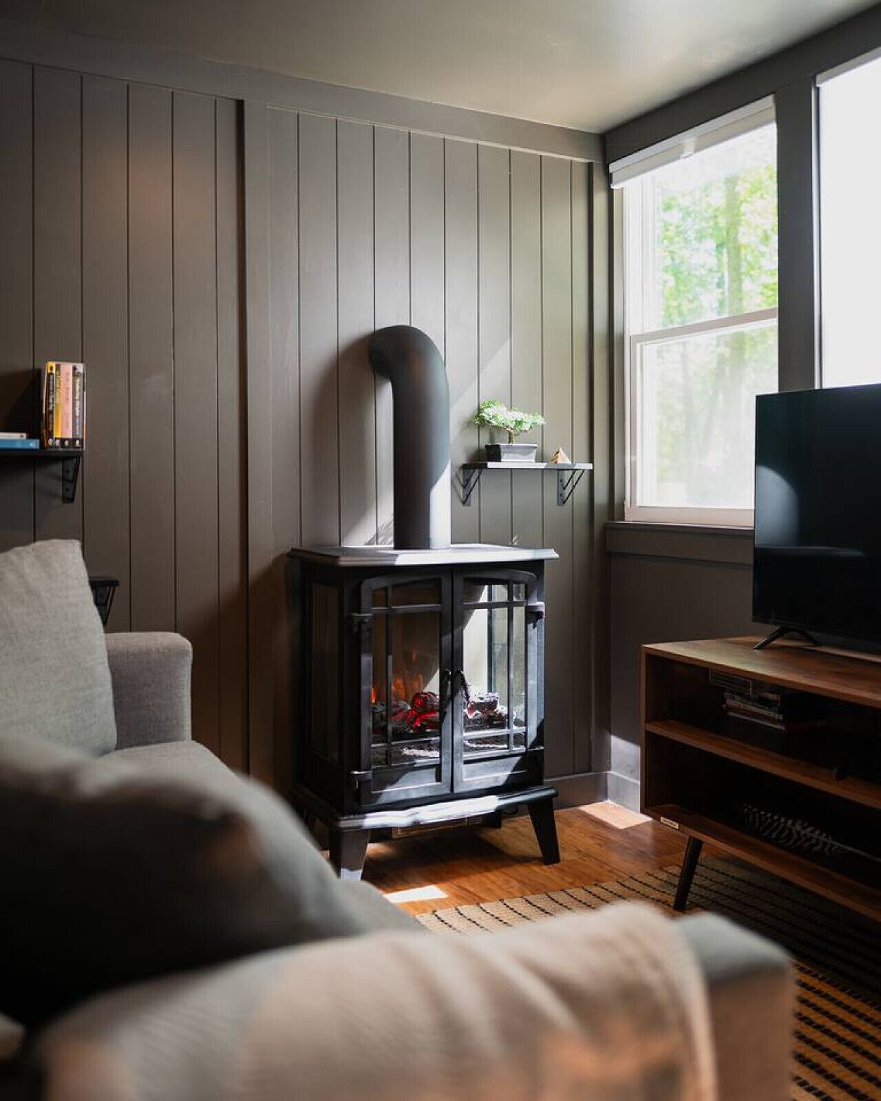 TV, fireplace