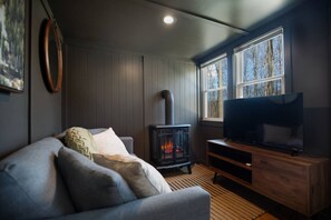 Living area - Sauna, fenced yard, near Blue Ridge Parkway (Sylva)