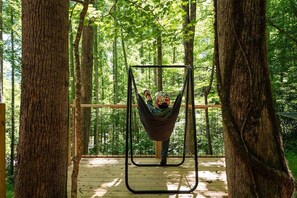 Property grounds - Cozy, Peaceful Hideout, Sauna, Hiking, and Great Food! (Sylva)