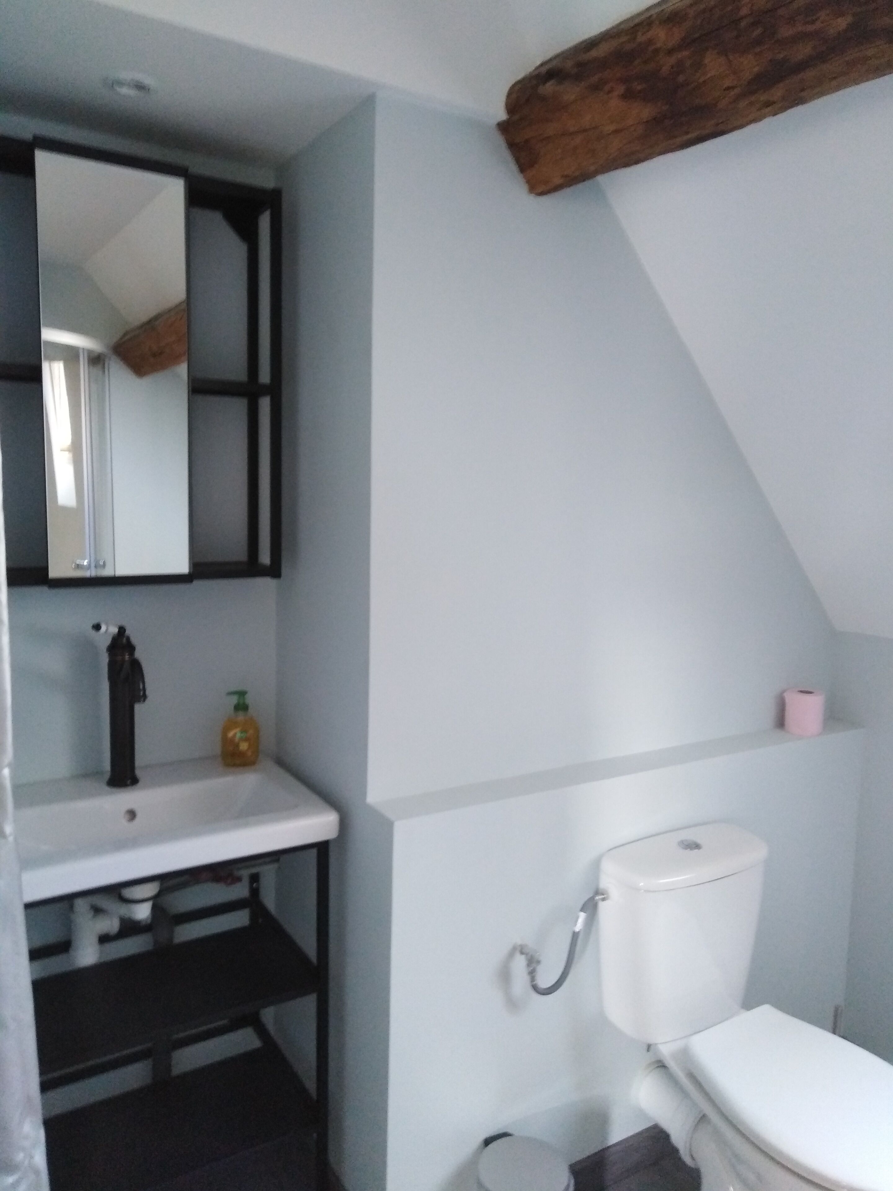 A bathroom with a white sink, a mirror, a toilet, and a shelf with a pink roll of toilet paper.