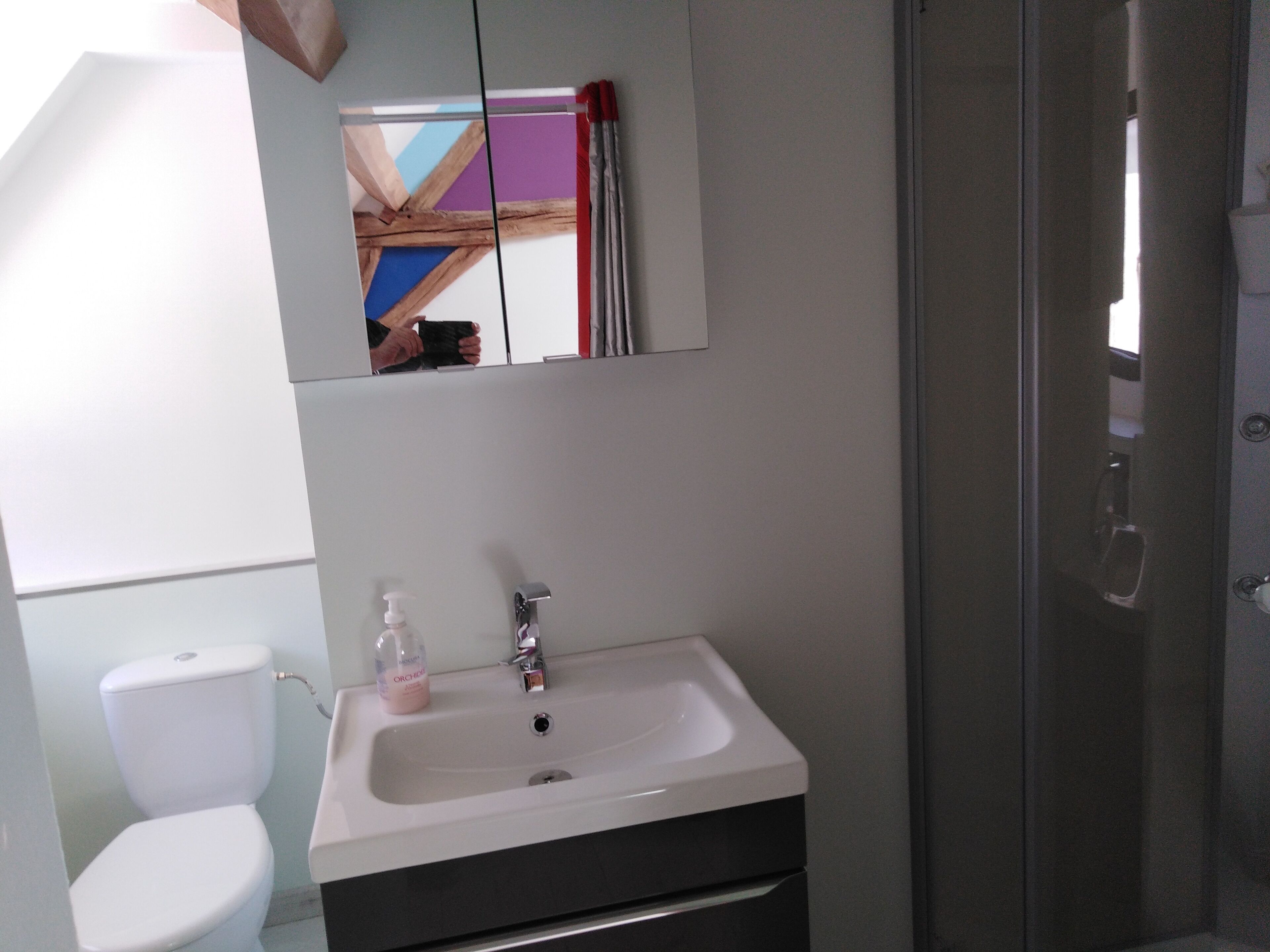 Un bagno con un lavandino bianco, uno specchio sopra e un water alla sinistra.
