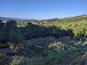 Áreas de la propiedad